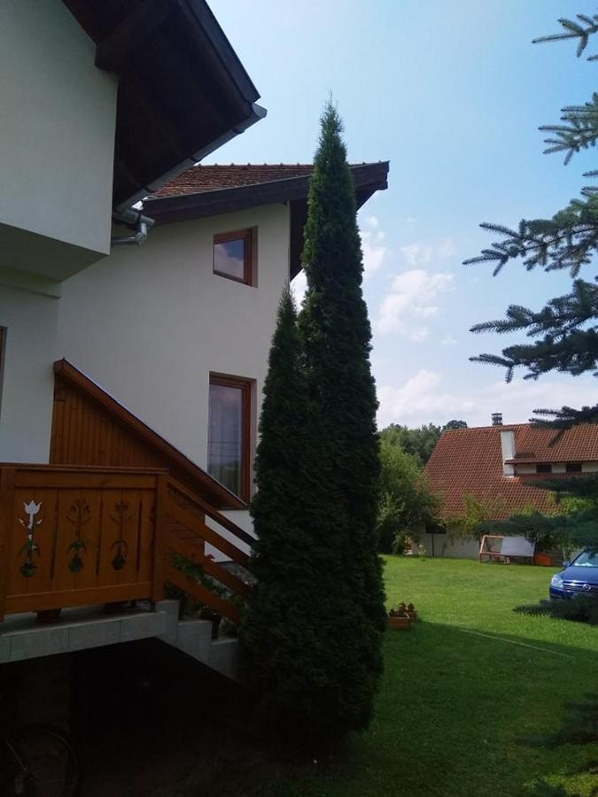 Hotel Casa Lacul Mierlei Sovata Exterior foto